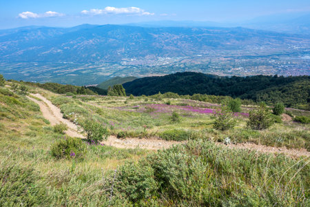 Summer view of Belasitsa Mountain around Kongur peak, Blagoevgrad Region, Bulgariaの写真素材