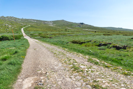 Spring Landscape of Vitosha Mountain, Bulgariaの写真素材