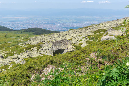 Spring Landscape of Vitosha Mountain, Bulgariaの写真素材