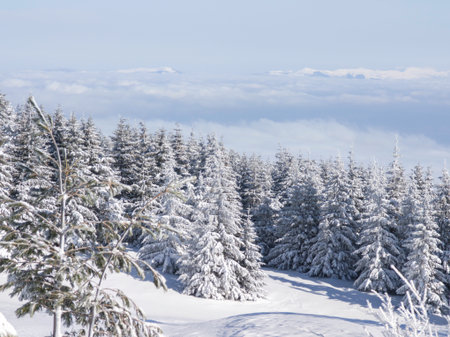 Amazing Winter Landscape of Vitosha Mountain, Sofia City Region, Bulgariaの写真素材