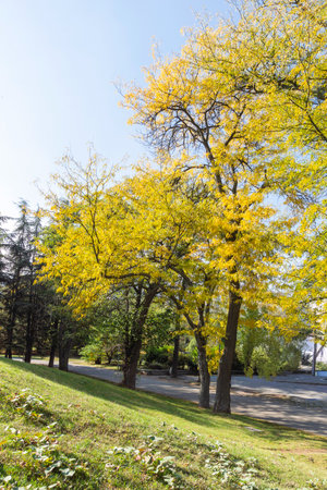 Amazing Autumn Landscape of park in city of Sofia, Bulgariaの写真素材