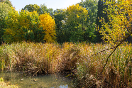 Amazing Autumn Landscape of Park in city of Sofia, Bulgariaの写真素材