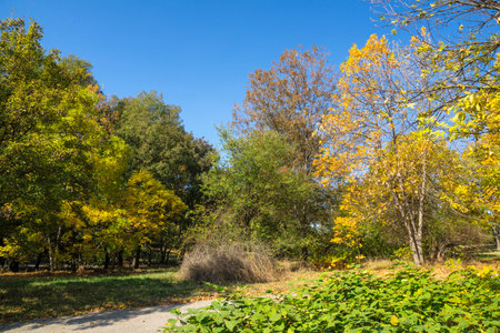Amazing Autumn Landscape of South Park in city of Sofia, Bulgariaの写真素材