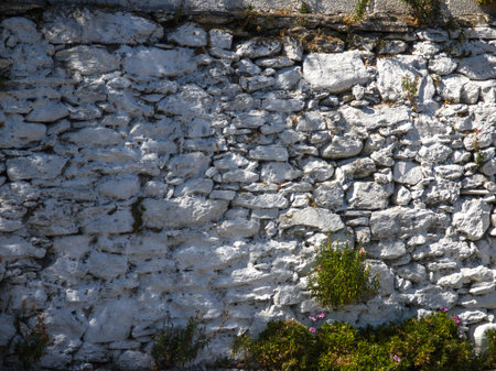 Amazing view of Makrirrachi Village at Pelion Mountain, Thessaly, Greeceの写真素材