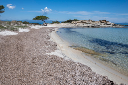 Amazing view of Sithonia coastline near Karydi Beach, Chalkidiki, Central Macedonia, Greeceの写真素材