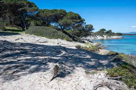 Amazing view of Sithonia coastline near Karydi Beach, Chalkidiki, Central Macedonia, Greeceの写真素材