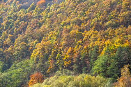 Amazing Autumn landscape of Pasarel reservoir, Sofia city Region, Bulgaria