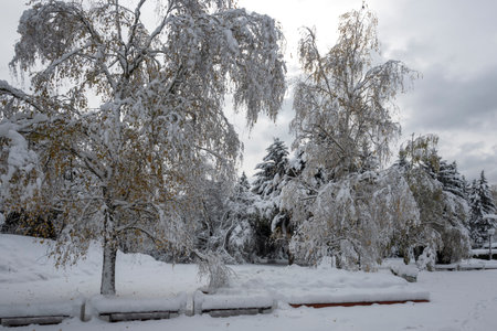 Amazing Winter Panorama in city of Sofia, Bulgaria