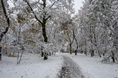 Amazing Winter Panorama in city of Sofia, Bulgaria