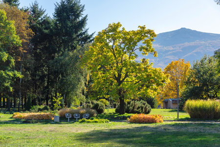 Amazing Autumn view of South Park in city of Sofia, Bulgariaの写真素材