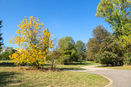 Amazing Autumn Landscape of Park in city of Sofia, Bulgaria