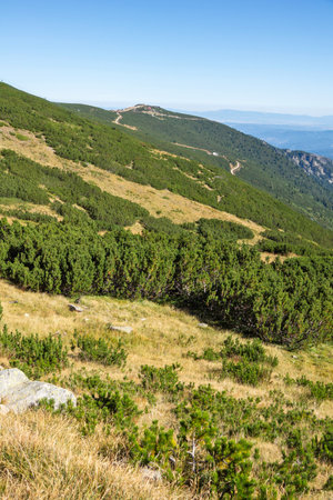 Amazing Summer Landscape of Rila mountain Around Musala peak, Bulgariaの写真素材