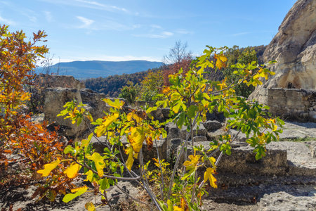Autumn view of Ruins of Ancient thracian city of Perperikon, Kardzhali Region, Bulgariaの写真素材