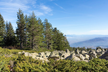 Amazing Autumn Landscape of Vitosha Mountain, Bulgariaの写真素材