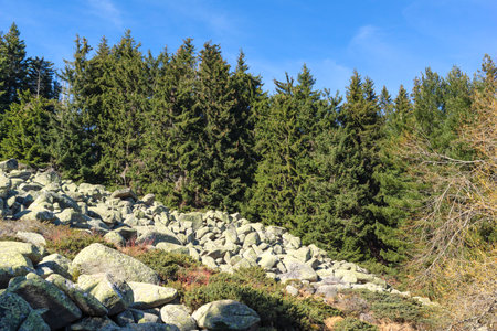 Amazing Autumn Landscape of Vitosha Mountain, Bulgariaの写真素材