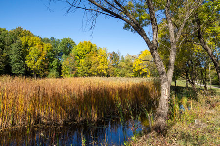 Amazing Autumn Landscape in city of Sofia, Bulgariaの写真素材