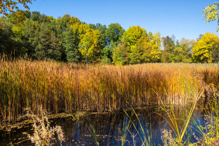 Amazing Autumn Landscape in city of Sofia, Bulgariaの写真素材