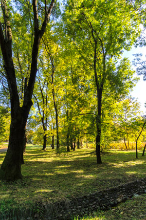 Amazing Autumn Landscape of Park in city of Sofia, Bulgaria