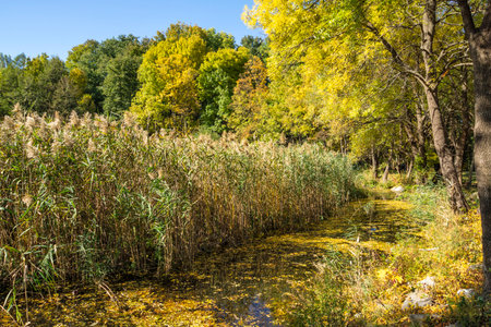 Amazing Autumn Landscape of Park in city of Sofia, Bulgariaの写真素材