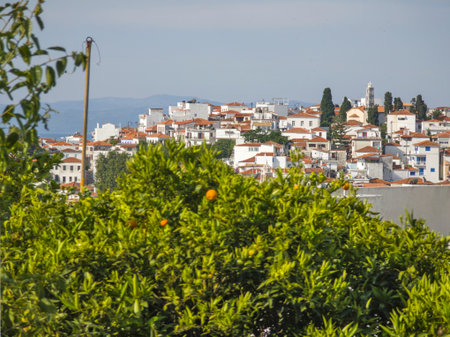 Amazing Panorama of The town of Skiathos, Sporades, Thessaly, Greeceの写真素材