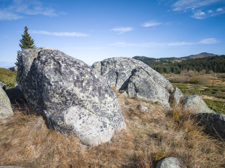 Autumn view of Konyarnika area at Vitosha Mountain, Sofia City Region, Bulgariaの写真素材