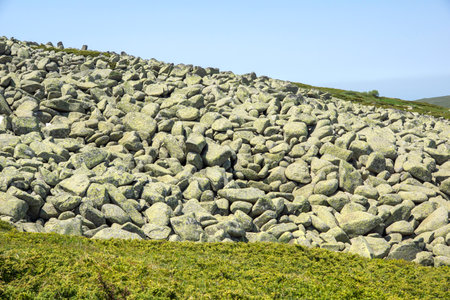 Amazing Spring Landscape of Vitosha Mountain, Bulgariaの写真素材