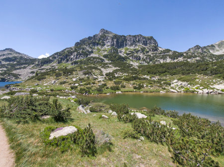 Amazing Summer Landscape of Pirin Mountain near Popovo Lake, Bulgariaの写真素材