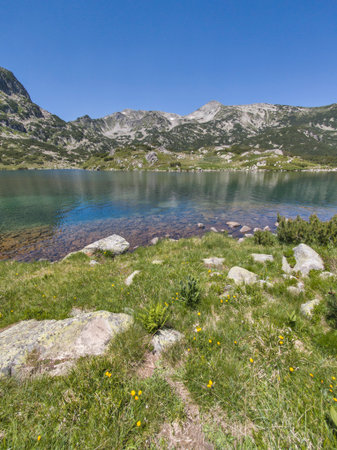 Amazing Summer Landscape of Pirin Mountain near Popovo Lake, Bulgariaの写真素材
