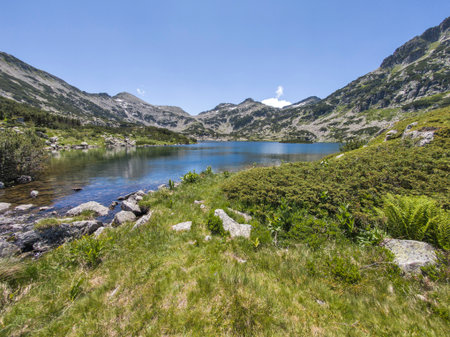 Amazing Summer Landscape of Pirin Mountain near Popovo Lake, Bulgariaの写真素材