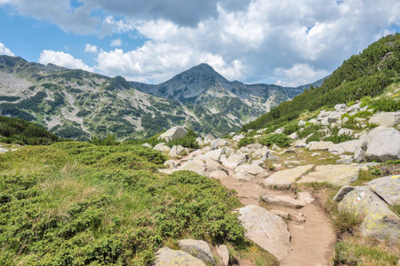 Amazing landscape of Pirin Mountain near Banderitsa Area, Bulgariaの写真素材