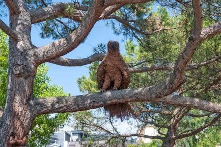 MONTREUX, SWITZERLAND - JUNE 19, 2023: Summer Panorama of town of Montreux, Canton of Vaud, Switzerlandのeditorial素材