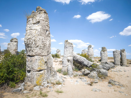 Summer view of rock formation Pobiti Kamani (Upright Stones), Varna region, Bulgariaの写真素材