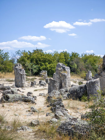 Summer view of rock formation Pobiti Kamani (Upright Stones), Varna region, Bulgaria