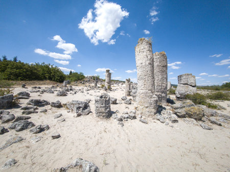 Summer view of rock formation Pobiti Kamani (Upright Stones), Varna region, Bulgariaの写真素材
