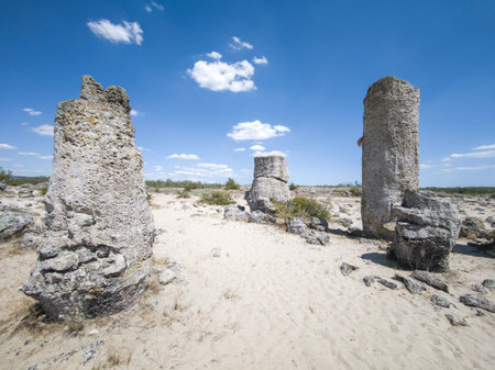 Summer view of rock formation Pobiti Kamani (Upright Stones), Varna region, Bulgaria