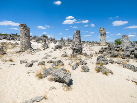 Summer view of rock formation Pobiti Kamani (Upright Stones), Varna region, Bulgaria