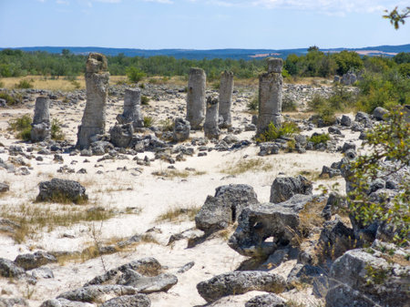 Summer view of rock formation Pobiti Kamani (Upright Stones), Varna region, Bulgariaの写真素材