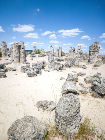 Summer view of rock formation Pobiti Kamani (Upright Stones), Varna region, Bulgariaの写真素材