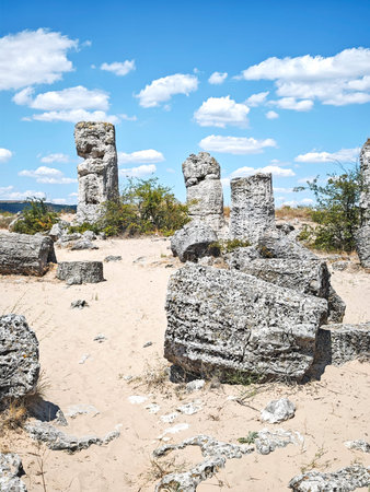 Summer view of rock formation Pobiti Kamani (Upright Stones), Varna region, Bulgariaの写真素材