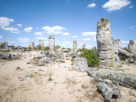 Summer view of rock formation Pobiti Kamani (Upright Stones), Varna region, Bulgaria
