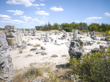 Summer view of rock formation Pobiti Kamani (Upright Stones), Varna region, Bulgaria