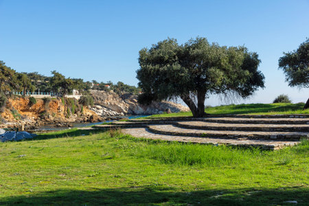 Olive Trees at Thassos island, East Macedonia and Thrace, Greece