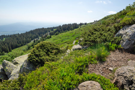 Amazing Spring Landscape of Vitosha Mountain, Bulgariaの写真素材