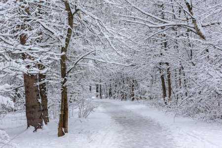 Amazing Winter Landscape in city of Sofia, Bulgaria