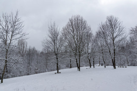 Amazing Winter Landscape in city of Sofia, Bulgaria