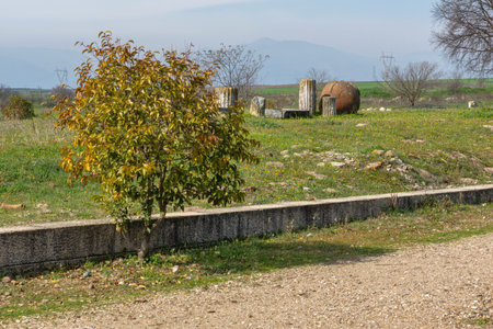 Ruins of Pella - capital city of Ancient Macedonian Empire, Central Macedonia, Greeceの写真素材