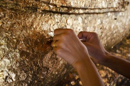 Buddha with gold leaf and Hands were gildedの写真素材