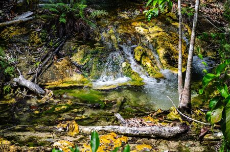 Waterfall green forest river stream.