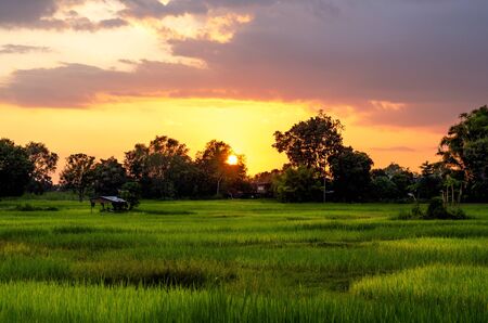Sunset over the field in countryside.の写真素材
