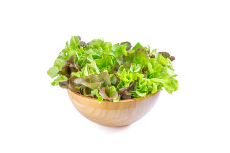 Red and Green oak lettuce In a wooden bowl on a white background.の写真素材
